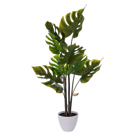 Dare2Decor 37 in. Monstera Plant x8 in White Pot, Green DA3251060